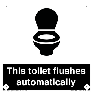 This toilet flushes automatically